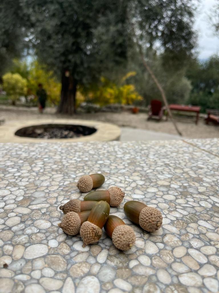 Antalya Bodrum Kayasi Dag Oteli Hasdumen Bagian luar foto