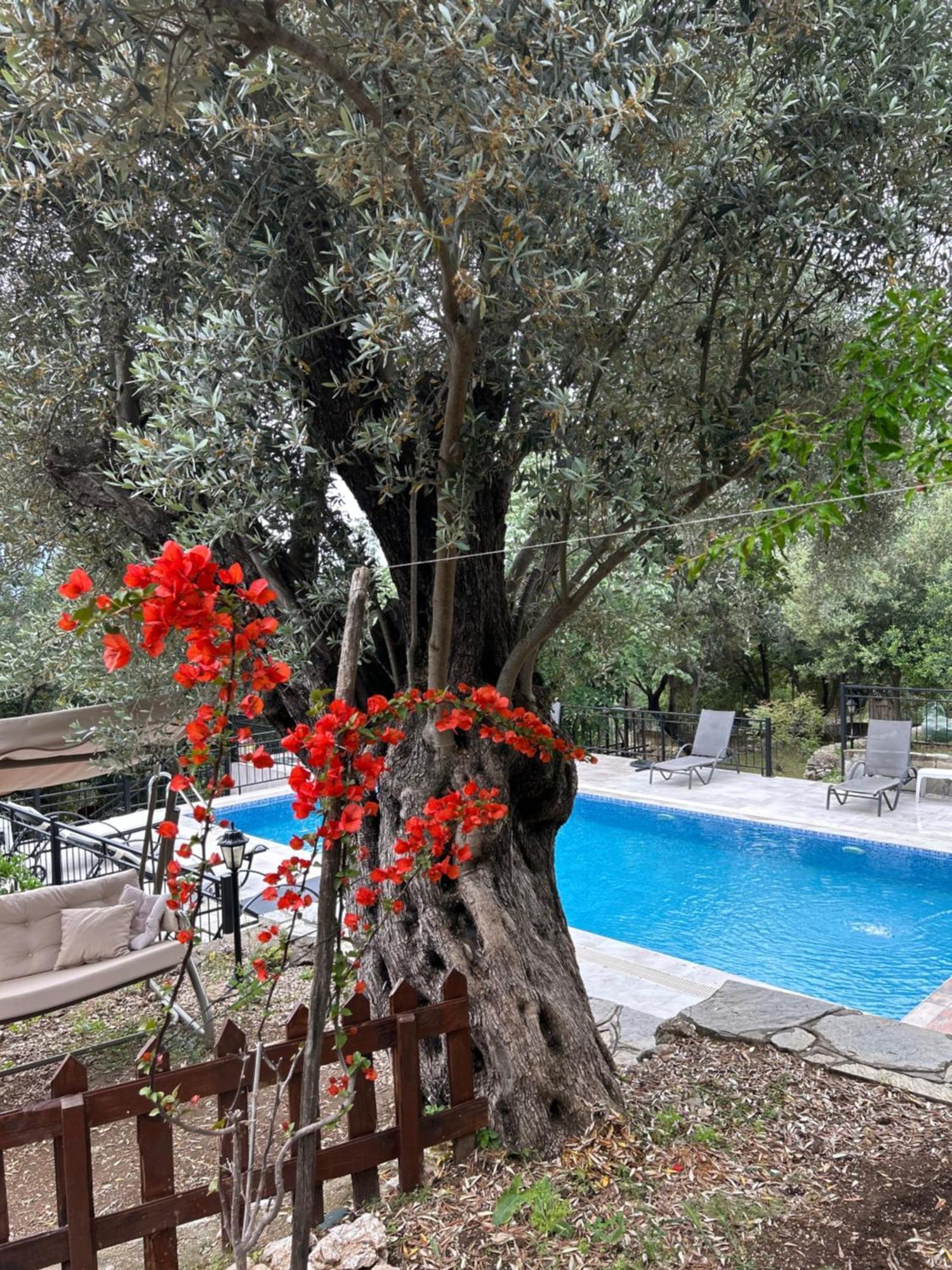 Antalya Bodrum Kayasi Dag Oteli Hasdumen Bagian luar foto